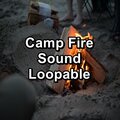 Fireplace Sounds、Fireplace、Fireplace Sample Master - Fire Sounds Peaceful Ambience For Infants