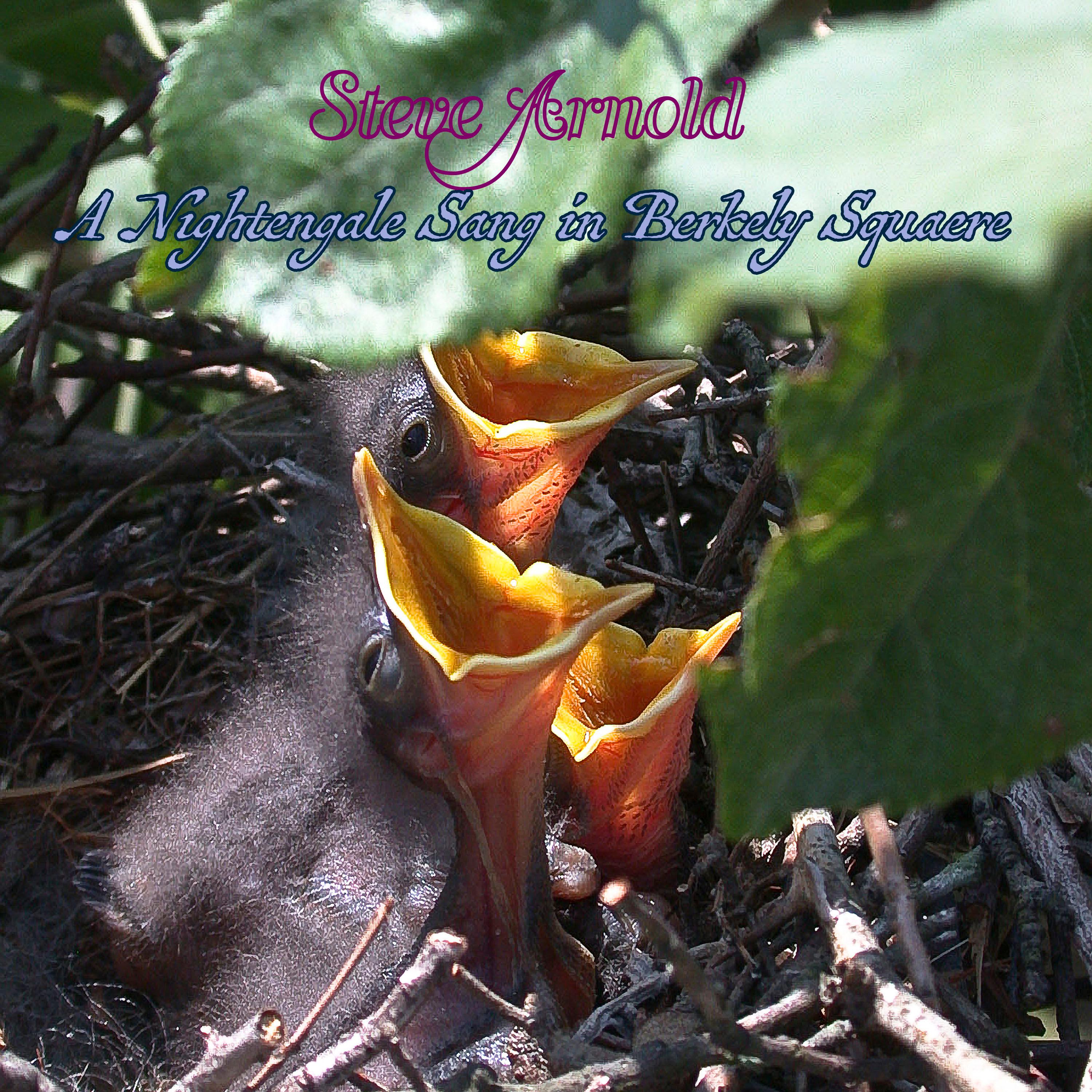 Steve Arnold - .A Nightingale Sang in Berkeley Square