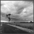 TH Moy - Natural Force