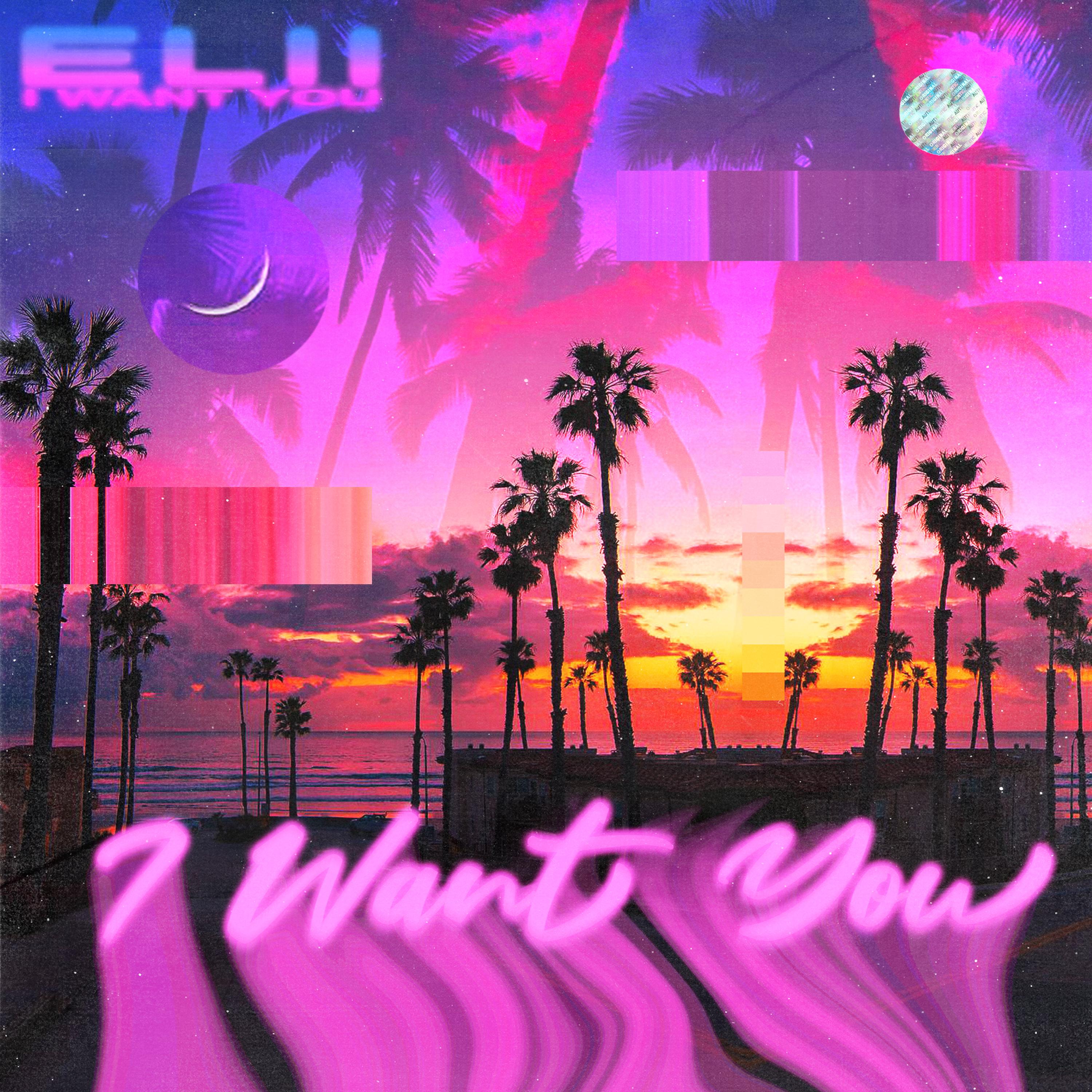 Elii、Diggy Diamond - I want you
