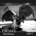 Cay-T - Escape