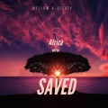 Africa will be saved