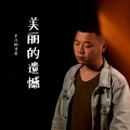 艾岩 - 美丽的遗憾