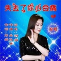 刘晓娟 - 失去了你心会痛