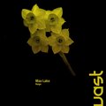 Max Lake - Reign
