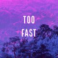 RafaReally、james king - Too Fast (feat. James King)
