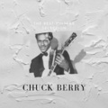Chuck Berry - Too Much Monkey Business