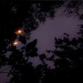莫妮卡 - 春夏秋冬的你_1