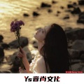 官云康 - Faded Cheap Thrills