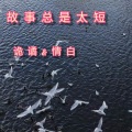情白、诡谲 - Friz