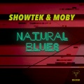 Natural Blues (Original Mix)