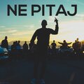 Cunami Flo - Ne pitaj