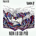 Non lo so più