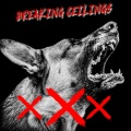 Big Husk - Breaking Ceilings (Explicit)