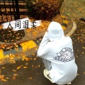 花 - Take Me Hand