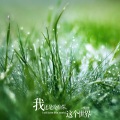 刘佳 - 嘿姑娘
