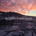 Surprise in the world