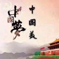 王二毛 - 中国美中国梦