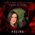 Crazy In Love (feat. Poeina)