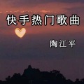 陶江平 - 最火旋律DJ
