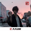 林钦雄、李嘉图 - 我说摇摆哥，摇起来 (DJ版)