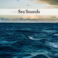 Sea Sounds、Nature Sounds - Sea Sound