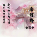 佛不渡我我自渡 (DJ版)