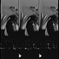 Ricky Rich - Put That