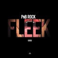 Fleek (Explicit)