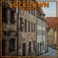 Lock Down Vol. 13