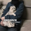 小萌、小瑞 - 终究会有一个人 (DJ版)