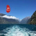 潮音权、DJ YiXiu、圈妹、小奶瓶 - 一点点