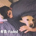 Faded - 像风一样