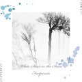 Musiqueen - White Stars in the Snow Footprints