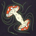 Alex Seira - Hallucinations
