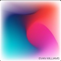 Evan Williams - Problems