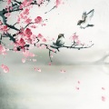 婧钰儿JY - 还在假装