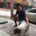 小度 Ananda - 错了