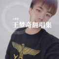 王梦奇 - 桥边姑娘