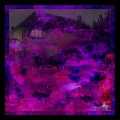 諭吉佳作/men、by Women - Wine on Why not