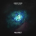 Linear Phase - Space Shifting