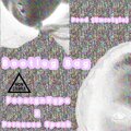 Princess Spank、Foreign Hype - Bootleg Bag (feat. Foreign Hype)(Explicit)