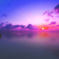 Blissful Chakra、Steven Goldmund、Momento、John Ocean、William Edessa、Niigata - Softly