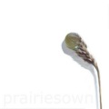 Prairie Tune - Wooit Wooit Woo