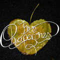 Chaperones THE - Strangers