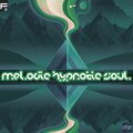 Daniel Chavez - Melodic Hypnotic Soul