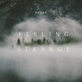 Kaygo The Kid - Feeling Strange