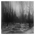 A Sense of Place - Pinhole
