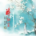 周长均、烟雨憾 - 醉卧红尘