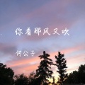 何公子 - 你看那风又吹